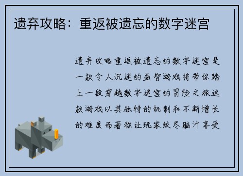 遗弃攻略：重返被遗忘的数字迷宫
